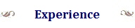 Experience